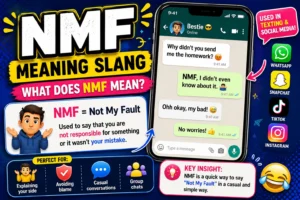 Colorful infographic explaining the slang term NMF, meaning “Not My Fault,” featuring a smartphone chat example, messaging icons, and social media platforms where the abbreviation is commonly used.